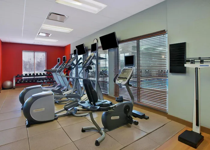 Hilton Garden Inn Detroit/Novi
