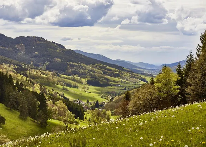 ElzLand Hotel Pfauen WELLNESS, SPA&VITALIS HOTEL Elzach