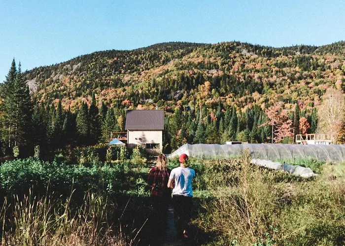 Farouche Tremblant - Hotel Nature&Expériences Lac-Supérieur