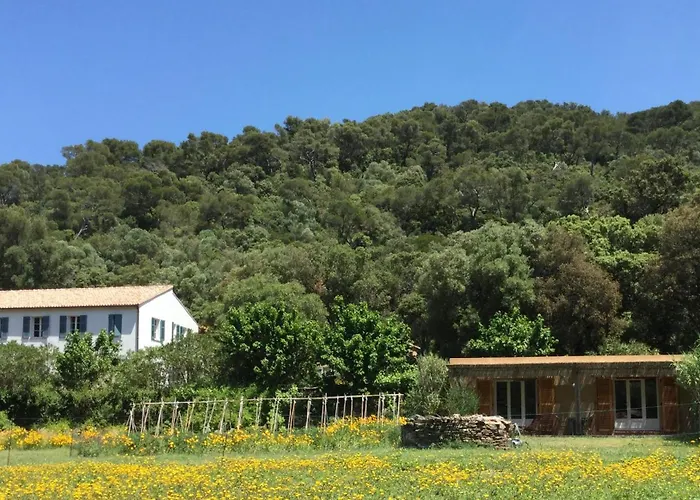 Le Manoir De Port-Cros Hotel