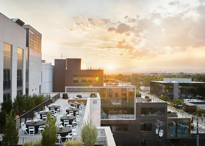 Halcyon - A In Cherry Creek