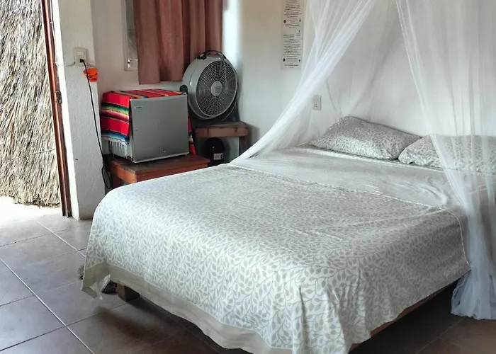 Cafe Maya - Casa Acalli Zipolite