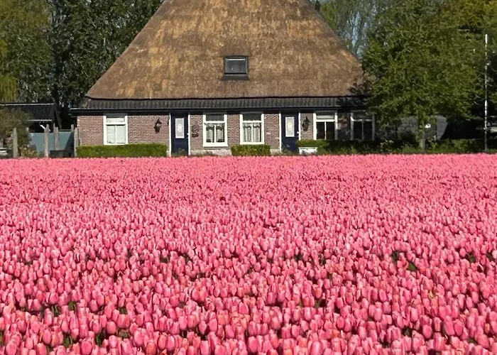 B&B Idylle Aan Zee Incl 2 Wellnessstudios
