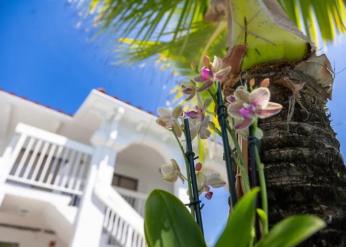 Palm Breeze Hotel