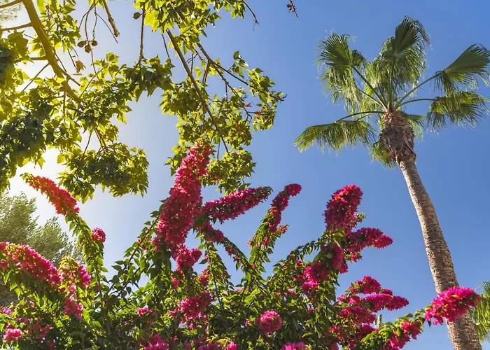 Elba Premium Suites - Adults Only Playa Blanca 