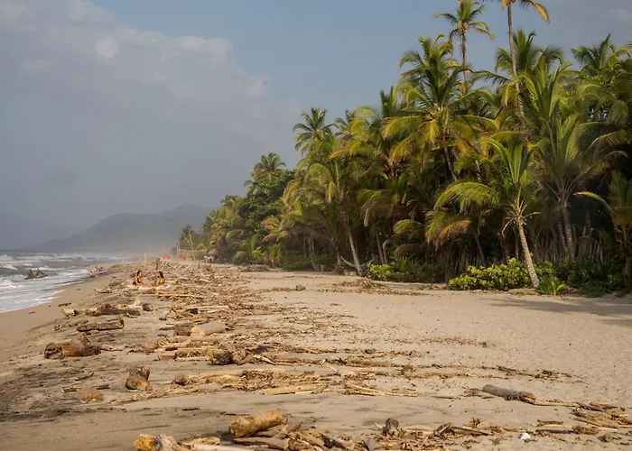 Hotel Lote 10 Tayrona Glamping Guachaca