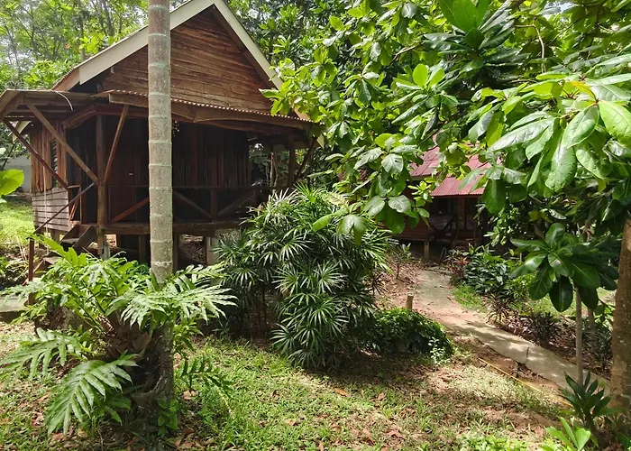 Jungle Hill Beach Bungalow