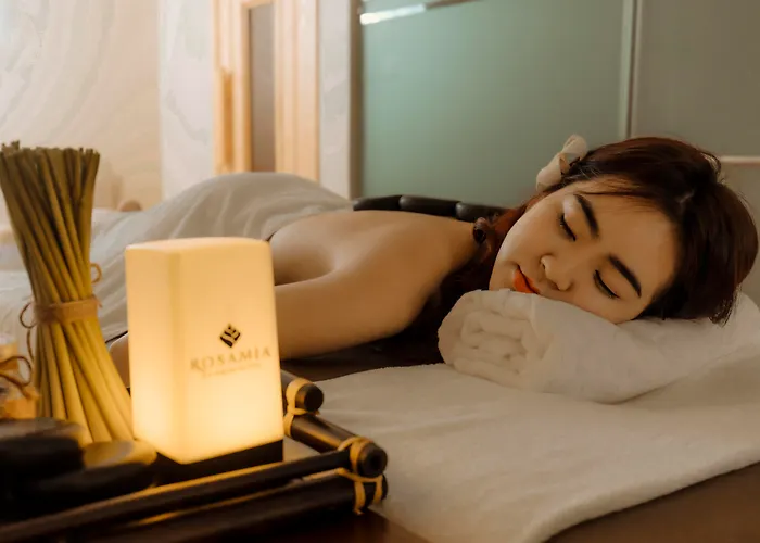 Rosamia Da Nang Hotel