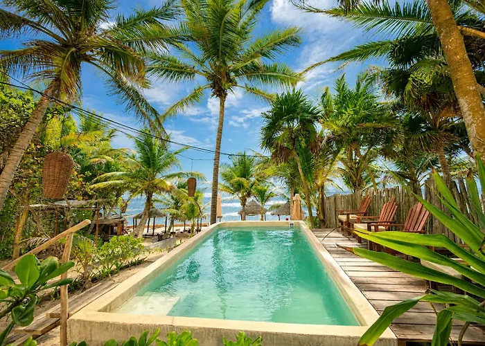 Dos Ceibas Tulum - Feel Good