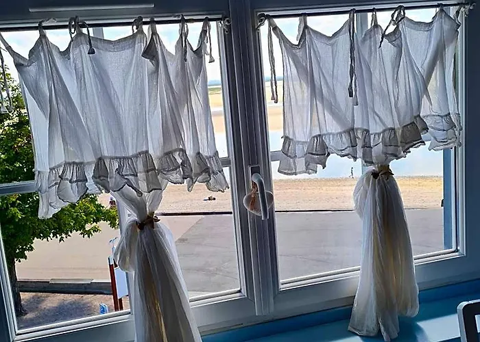 Les Mouettes Blessées Le Crotoy