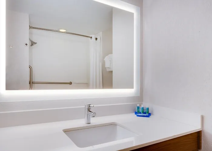 Holiday Inn Express & Suites Tampa-Fairgrounds-Casino By Ihg