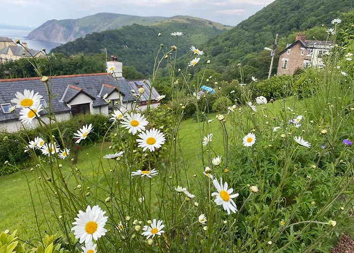 Bed and Breakfast Highcliffe House Lynton
