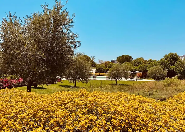 Terra Home Resort