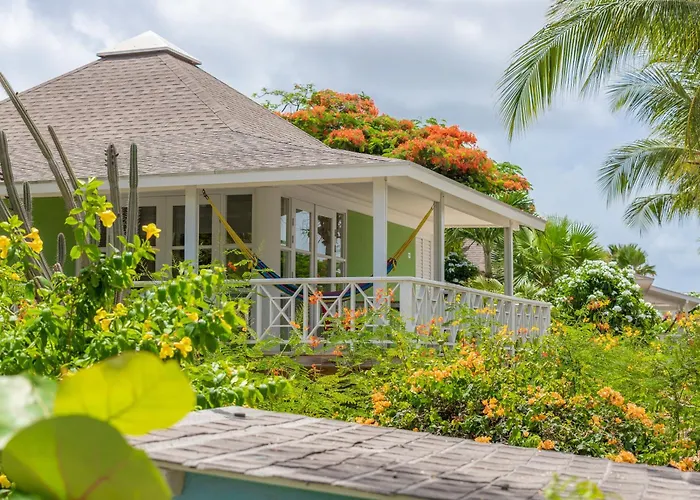 Chogogo Dive & Beach Resort Curacao