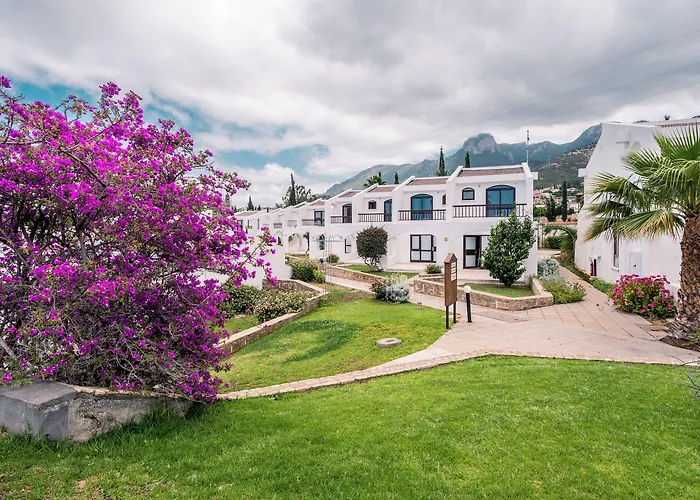 The Olive Tree Hotel