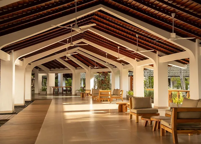 Palms