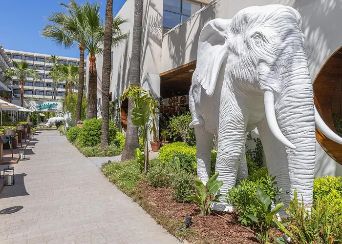 INNSiDE by Meliá Alcudia Port de Alcudia 