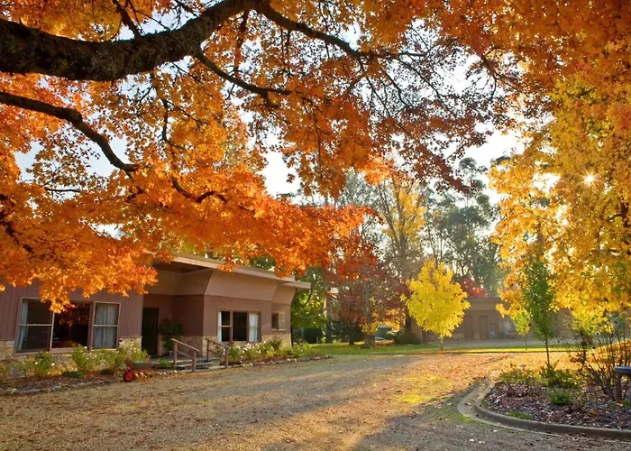 Buffalo Motel And Country Retreat