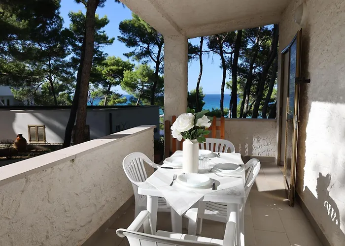 Sfinal Residence