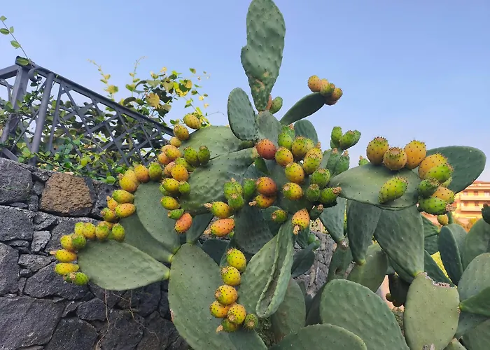 Il Giardino di Galatea