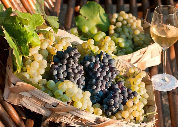 Albergo 'La Vigna' Procida