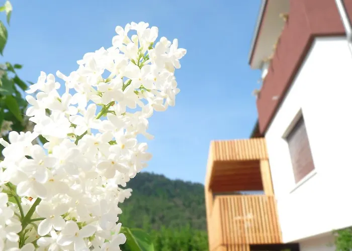 B&B Casa sul Lago - Appartamenti