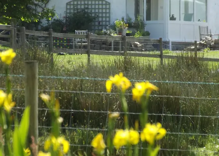The Swallows Guest House
