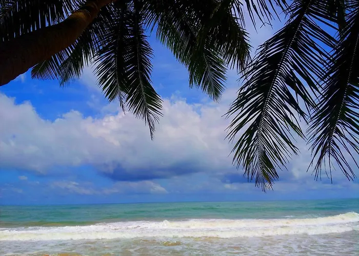 Ocean Of Life Ayurveda Hotel