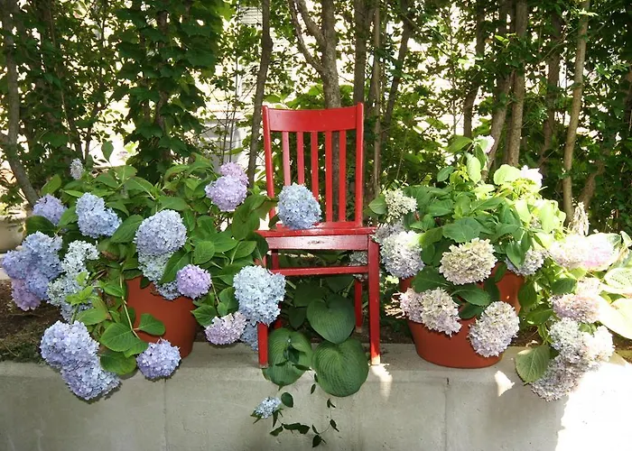 Hydrangea House Inn