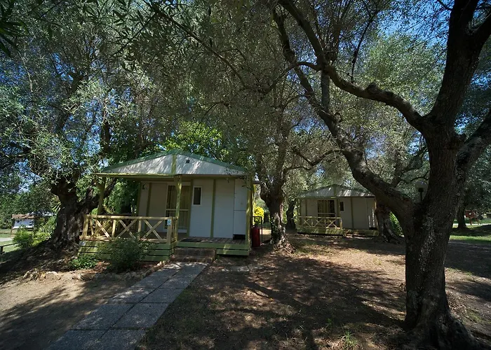 Villaggio Turistico Camping Il Fontino Scarlino
