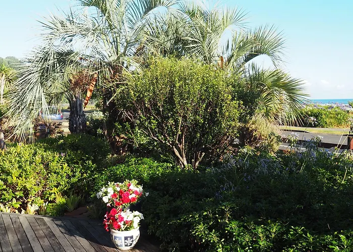 Ocean View Aparthotel Ohope