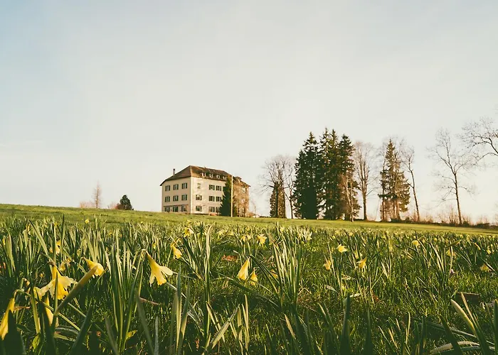 Hotel De La Chaux-D'Abel