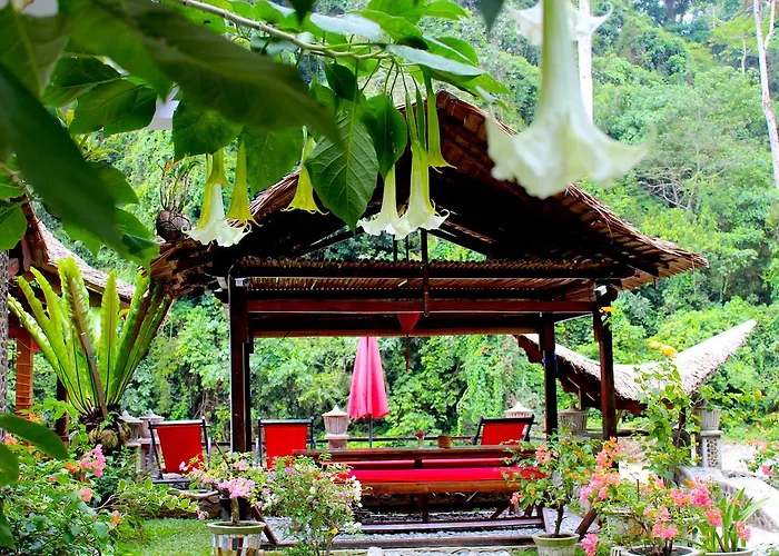 Ecotravel Cottages Bukit Lawang & Jungle Trekking