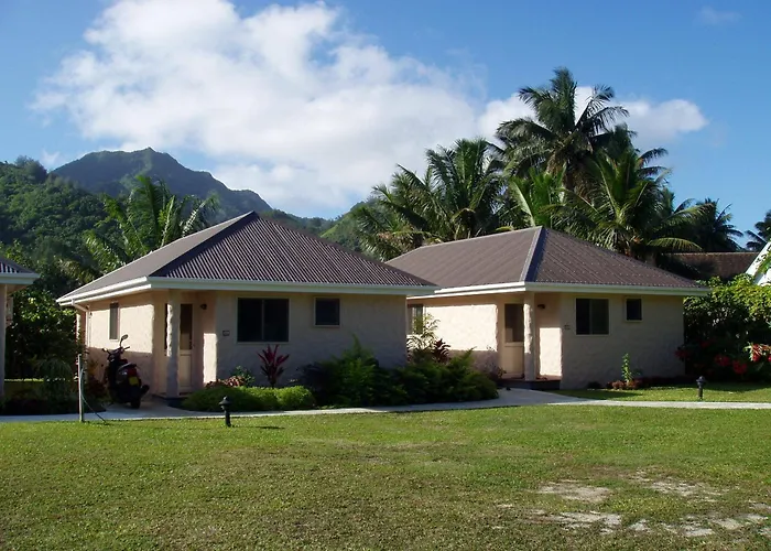 Palm Grove