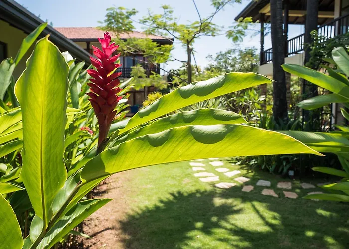 Dream Garden Hotel Arugam Bay
