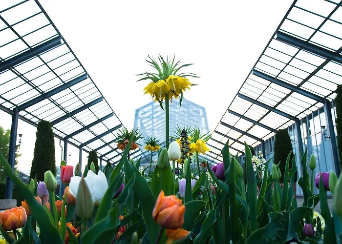 Dehner Blumen Hotel Rain 