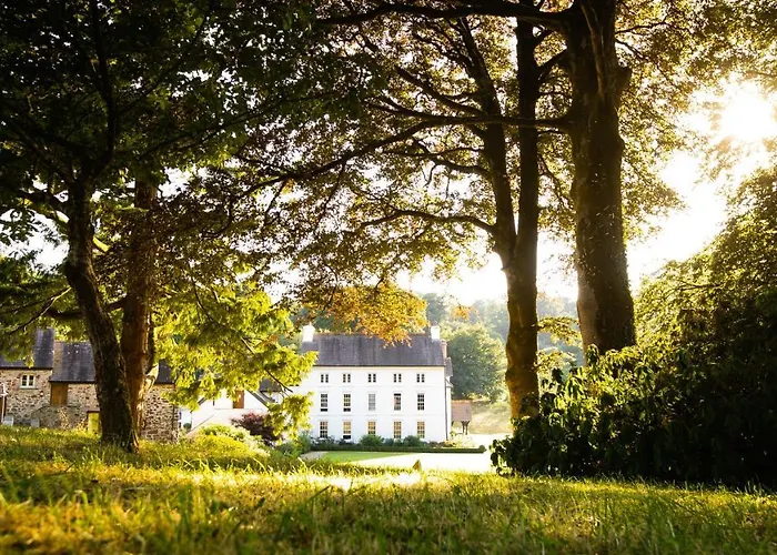 Grove Of Narberth