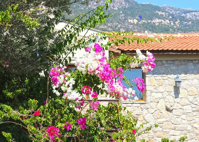 Zephyros Hotel