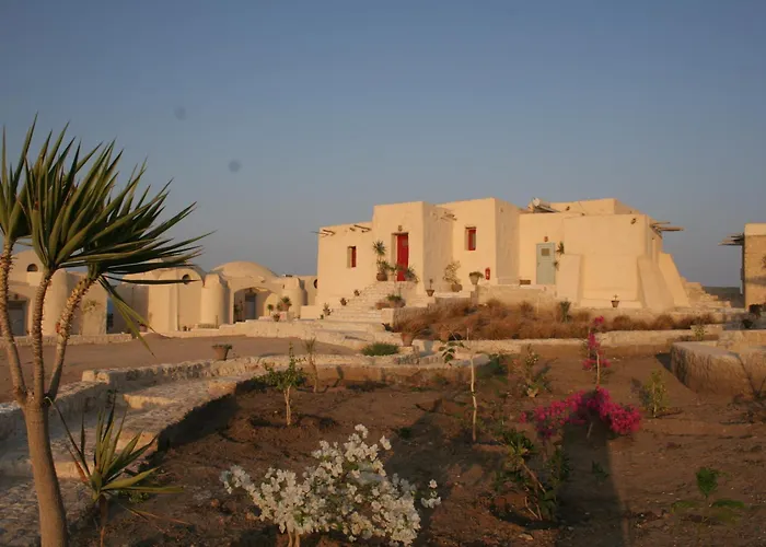 Oasis