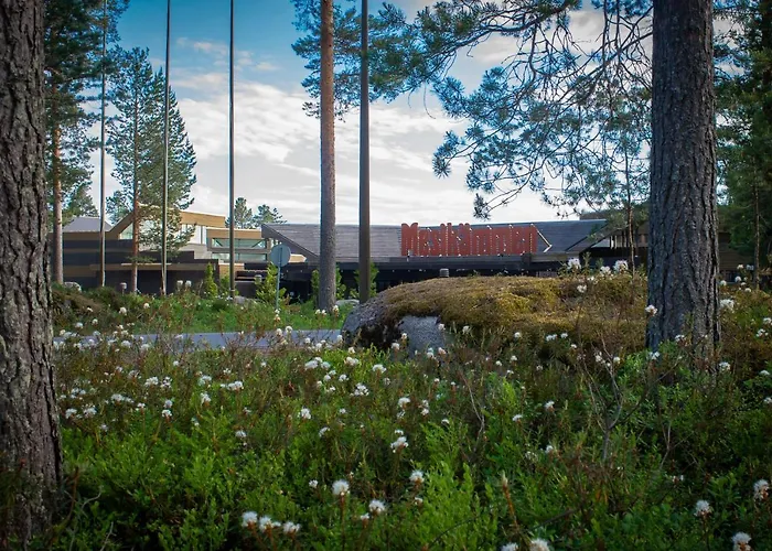 Hotel Mesikaemmen