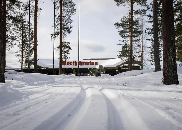 Hotel Mesikaemmen