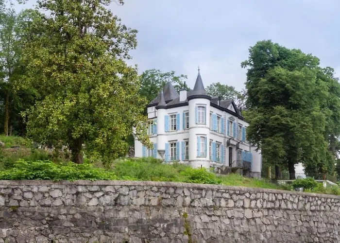Château de Druon