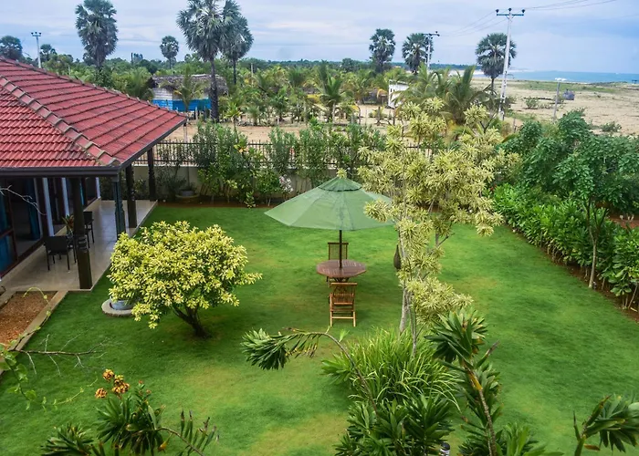Dream Garden