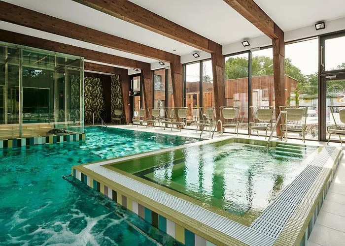 Wasa Resort Hotel, Apartments & Spa