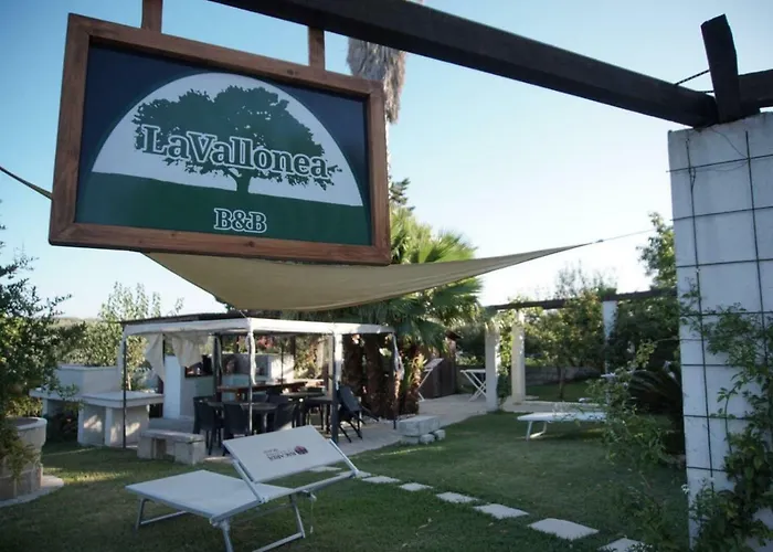 La Vallonea