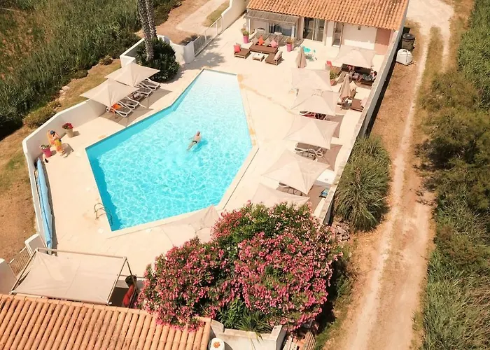 Les Rizières