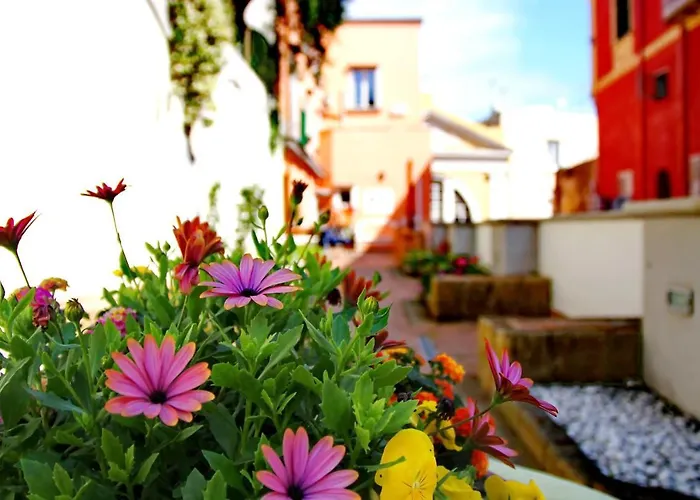 Il Borghetto Apartments&Rooms